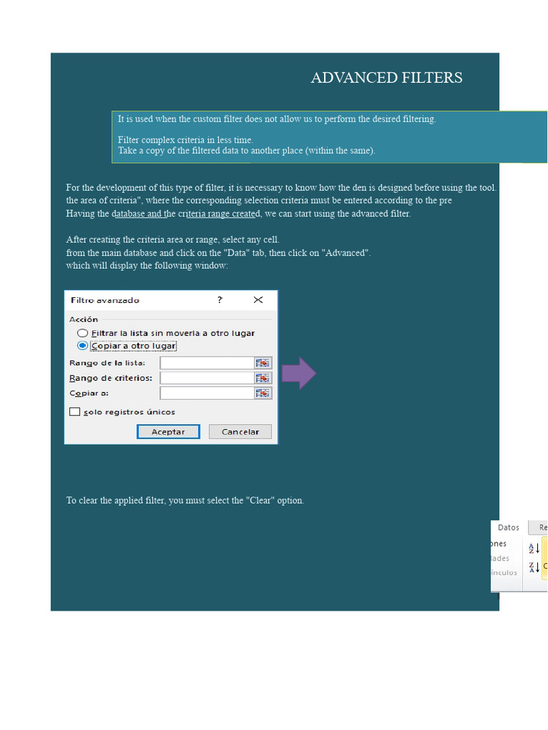 Advanced Filtering Techniques in Excel | PDF | Computing | Application ...