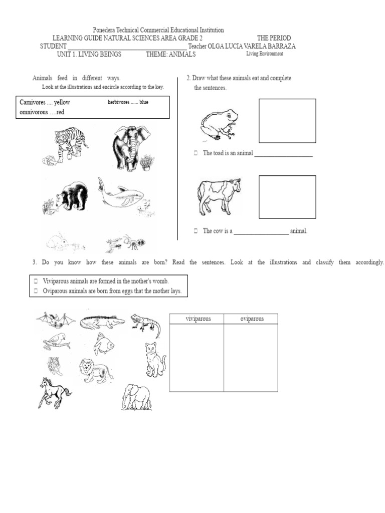Grade 2 Natural Sciences: Animals Guide | PDF | Foods | Zoology