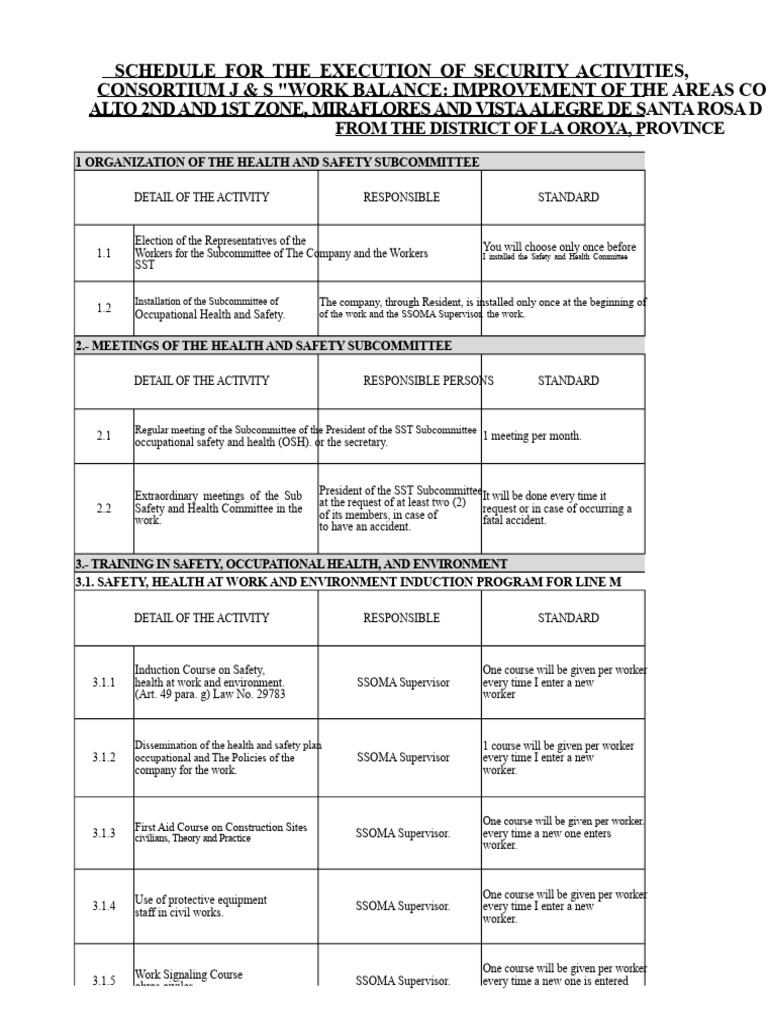 Security Activities Execution Schedule | PDF | Occupational Safety And ...