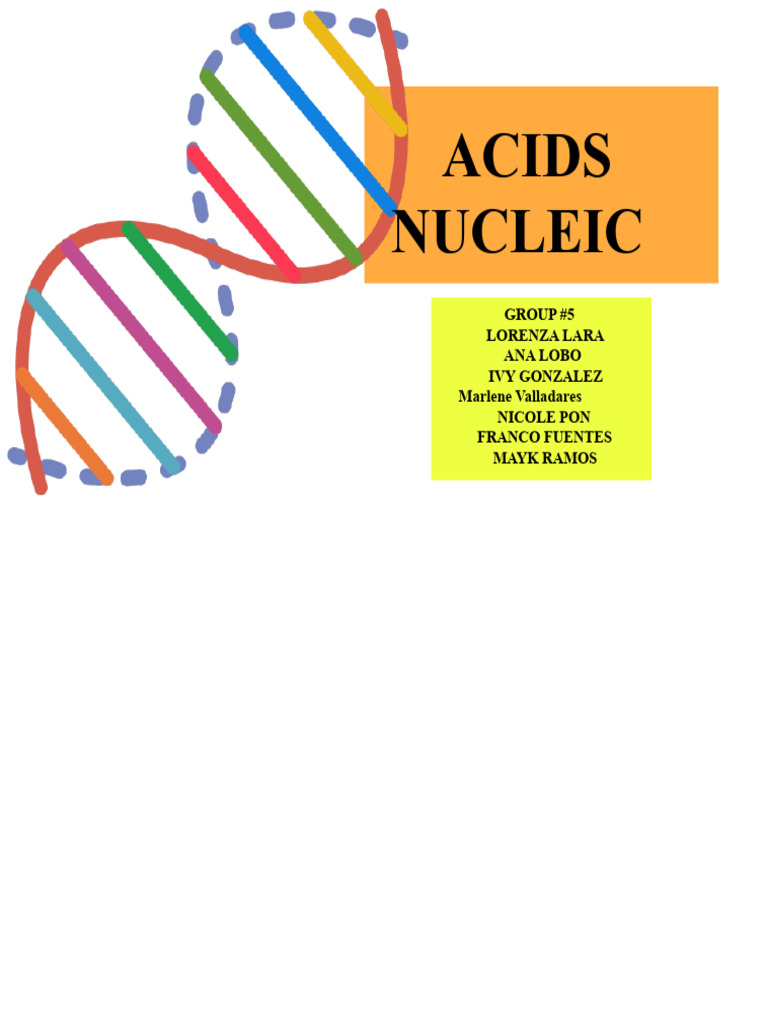 Nucleic Acids | PDF | Translation (Biology) | Nucleotides