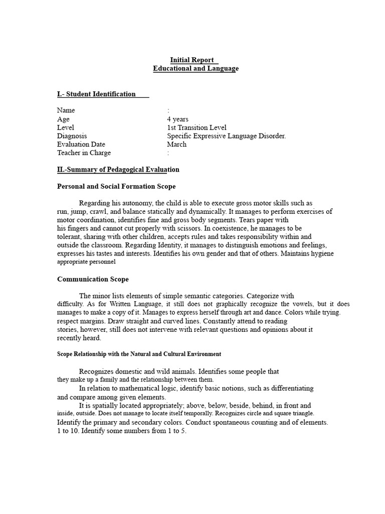 Initial Pedagogical and Language Report Format TEL | PDF | Grammatical ...