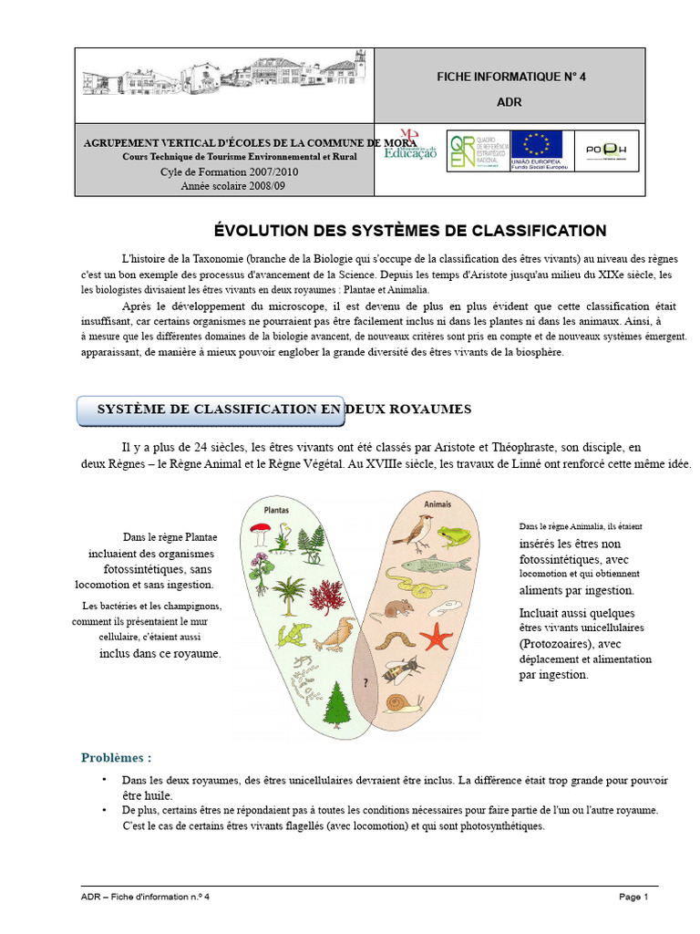 Évolution des systèmes de classification | PDF | Plantes | Taxonomie ...