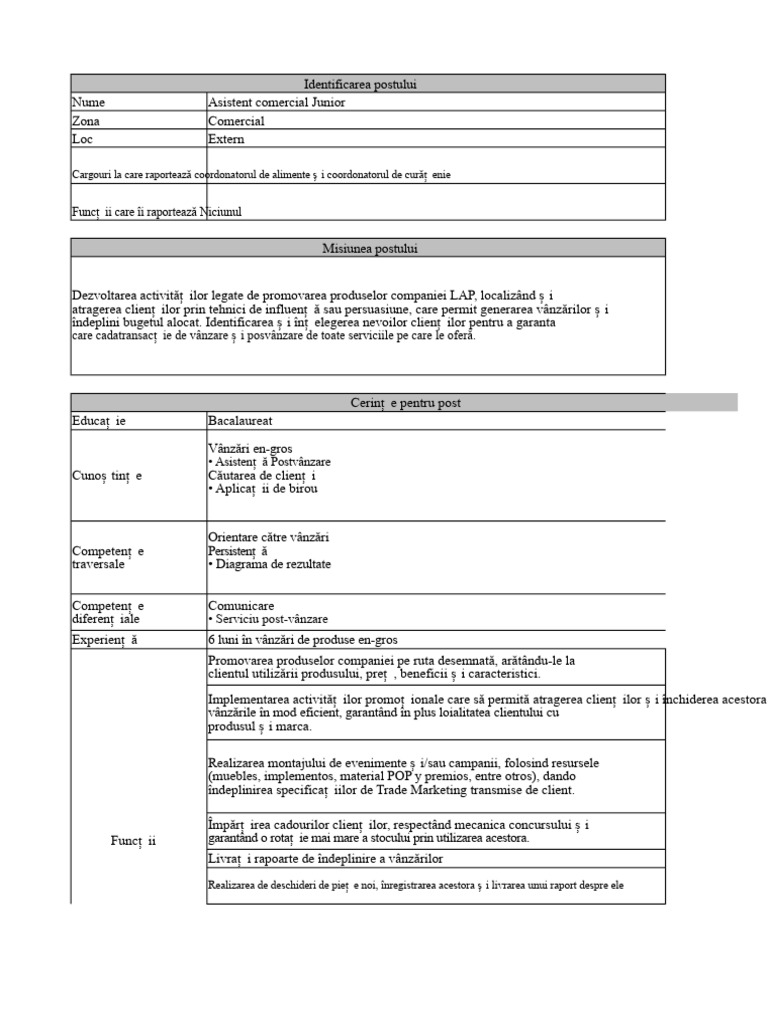 Perfil Consilier Junior Lap | PDF