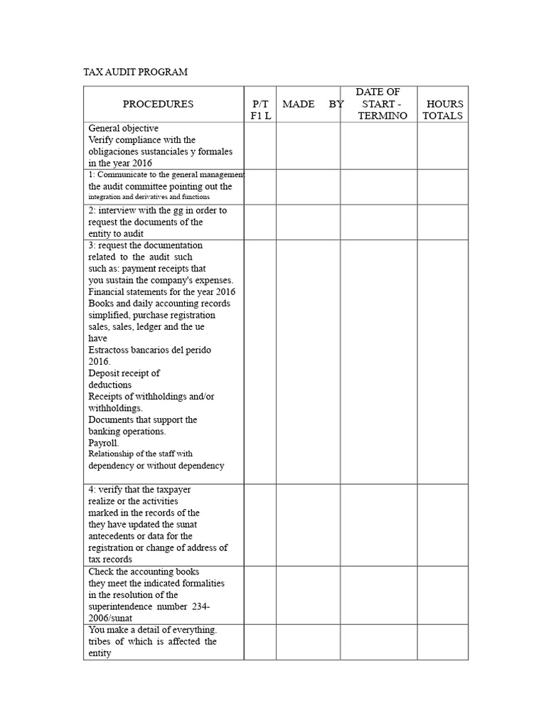 Tax Audit Program | PDF