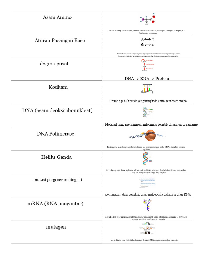 Proses Sintesis Protein dan DNA | PDF