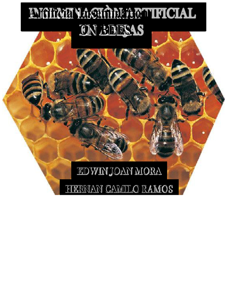 BEES | PDF | Zoology | Bees