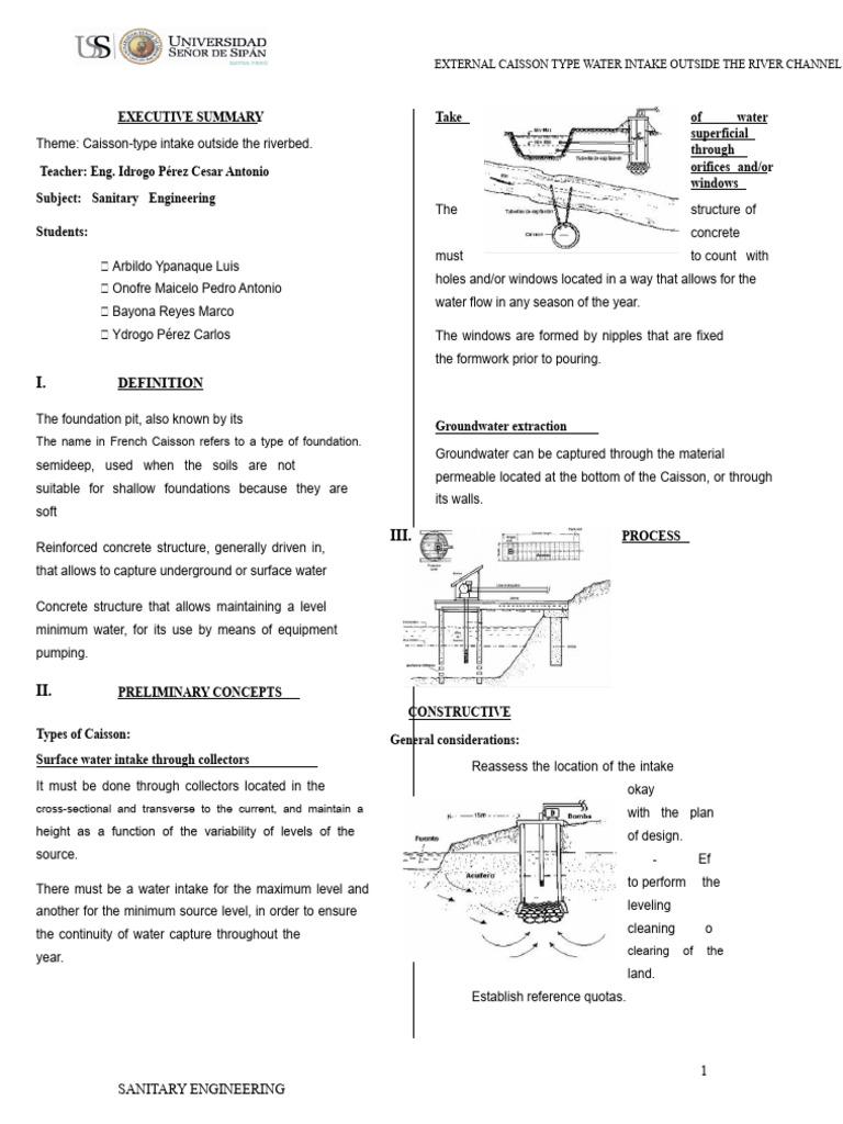 External Caisson Type Collection Executive Summary | PDF | Concrete | Pump