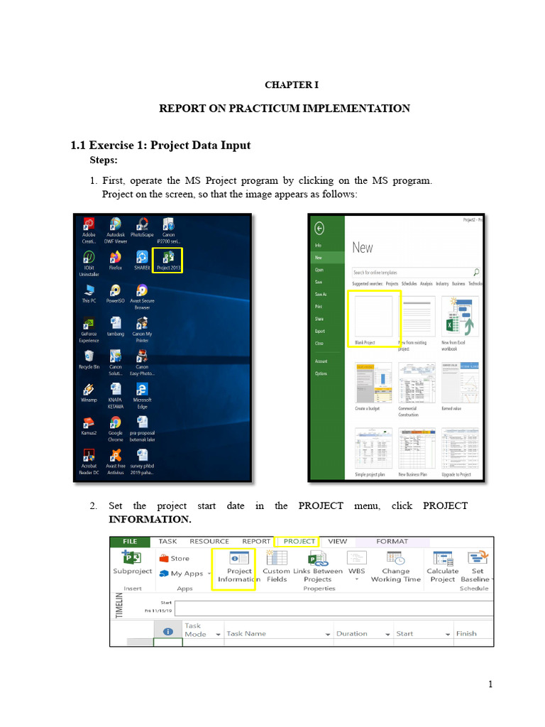 MS Project Practicum Implementation Guide | PDF