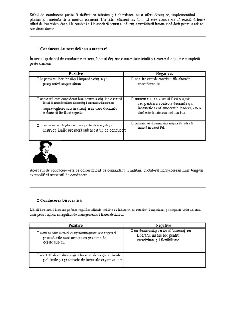 Stiluri de Conducere Cu Exemple | PDF