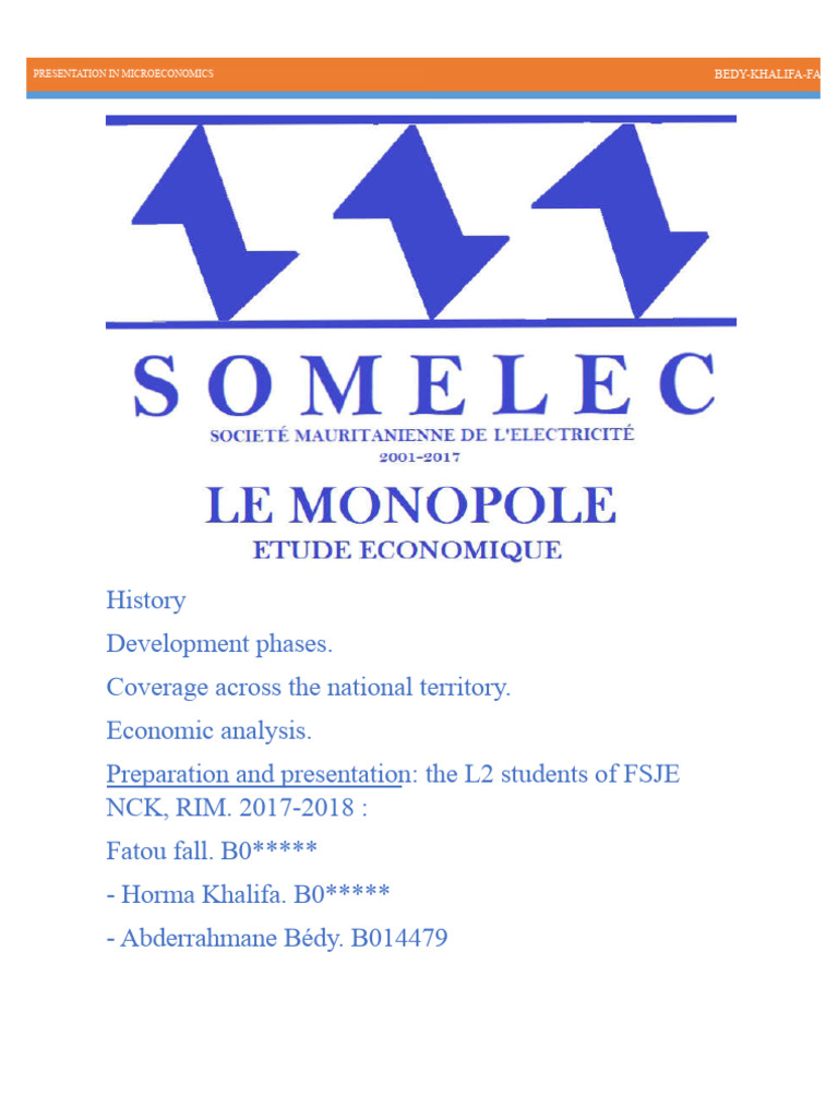 SOMELEC: Microeconomics Overview | PDF | Monopoly | Power Station