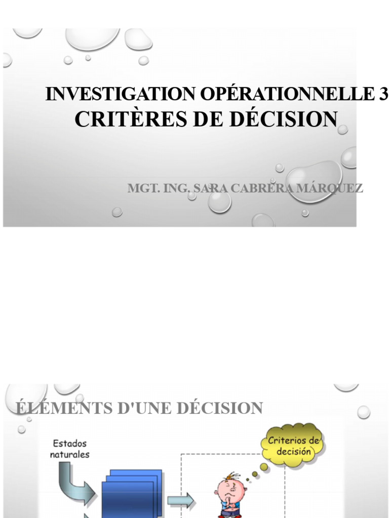 Critères de Décision pour Investissement Aéroport | PDF | Probabilité