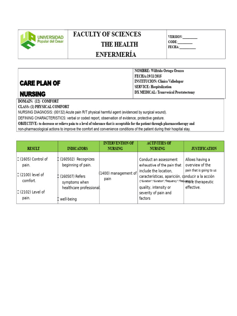 Nursing Care Plan for Pain Management | PDF | Pain | Nursing