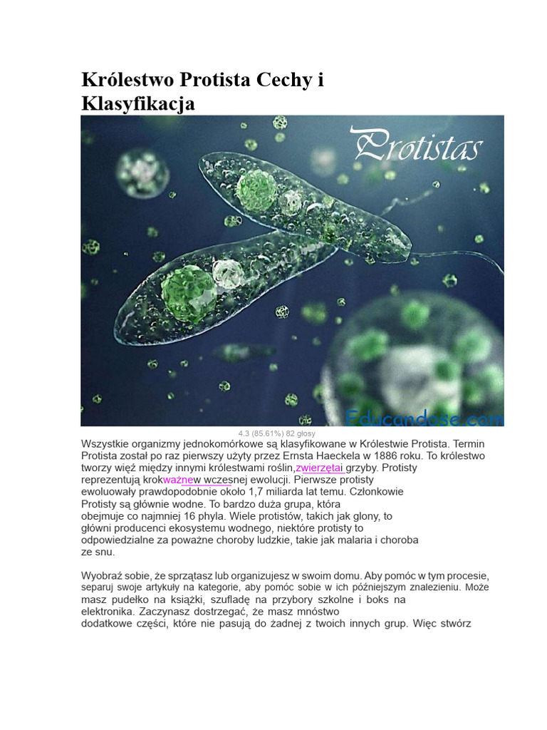 Królestwo Protista Cechy I Klasyfikacja | PDF
