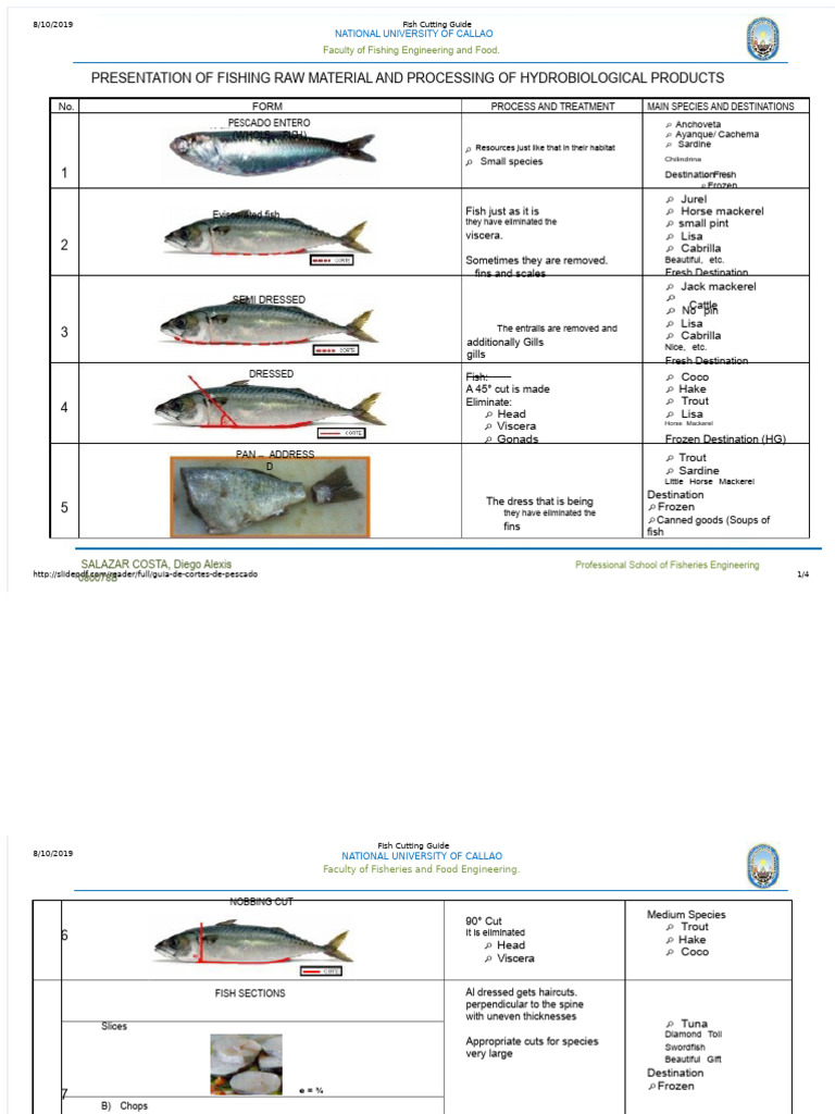 Fish Cutting Techniques Guide | PDF | Fish | Fish And Humans