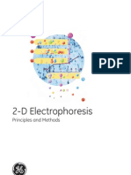 2D Electrophoresis - Principles and Methods