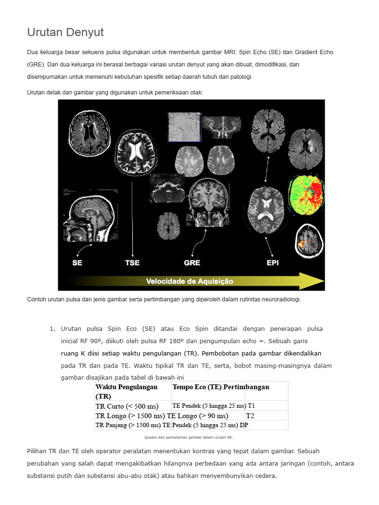 Urutan Denyut MRI: Spin dan Gradient Echo | PDF