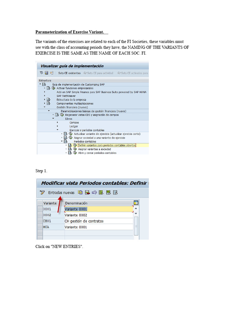 SAP Exercise Variant Parameterization Guide | PDF | Computer ...