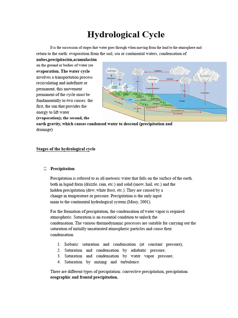 Hydrological Cycle Report | PDF | Evaporation | Temperature