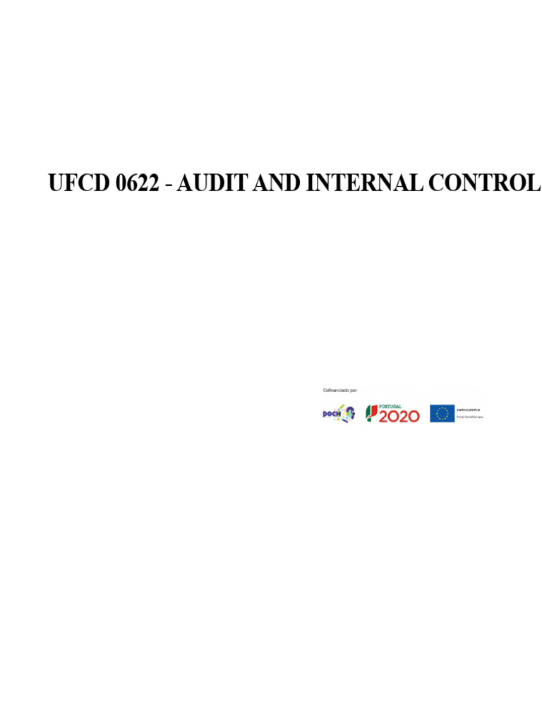 Audit and Internal Control Overview | PDF | Internal Control | Audit