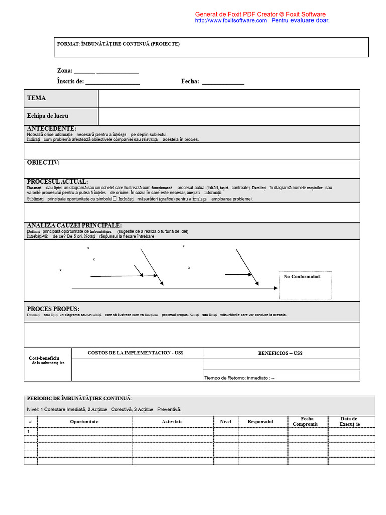 Format Pentru Proiecte de Îmbunătățire | PDF