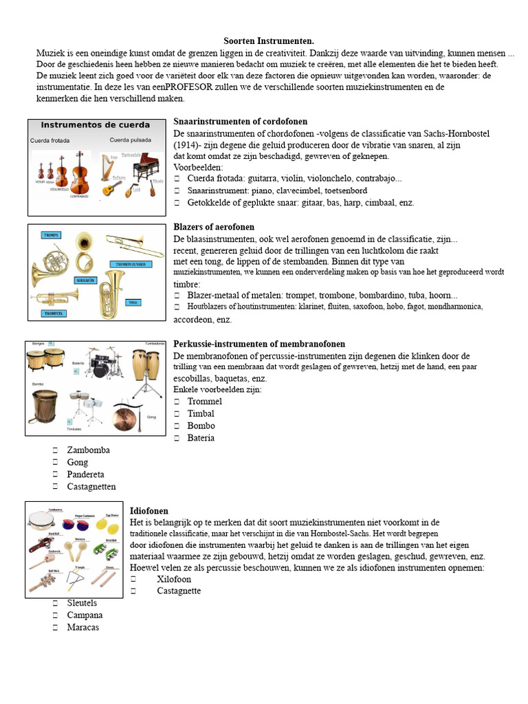 Soorten Instrumenten | PDF