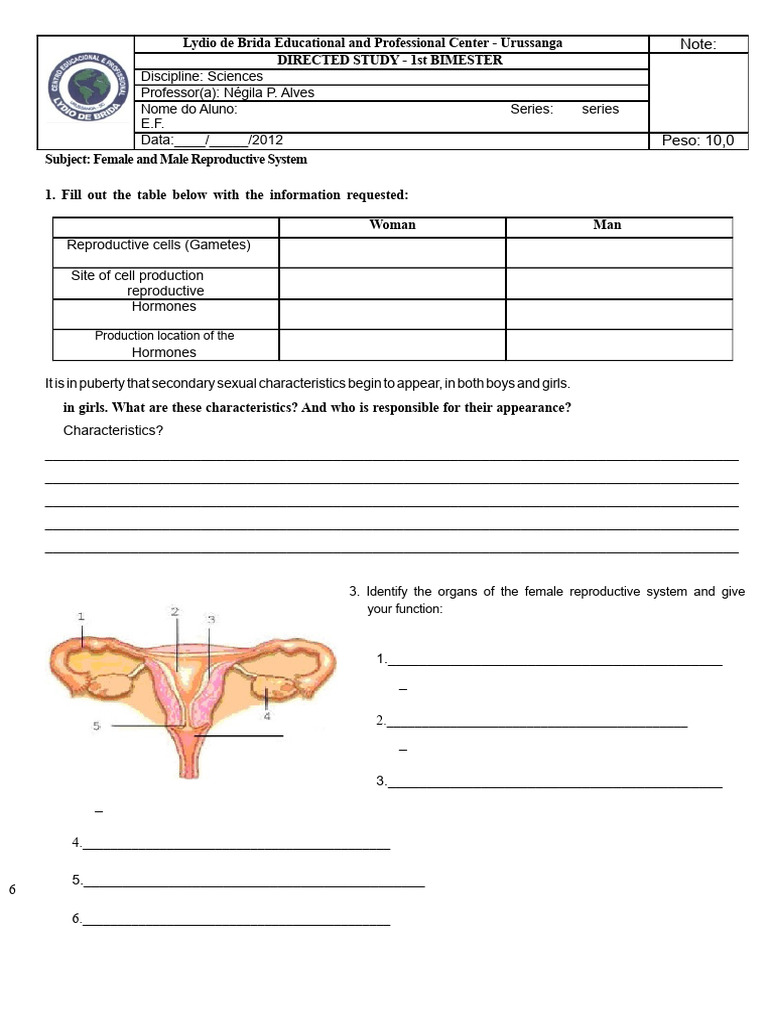 Reproductive System Study Guide | PDF | Reproductive System | Fertilisation