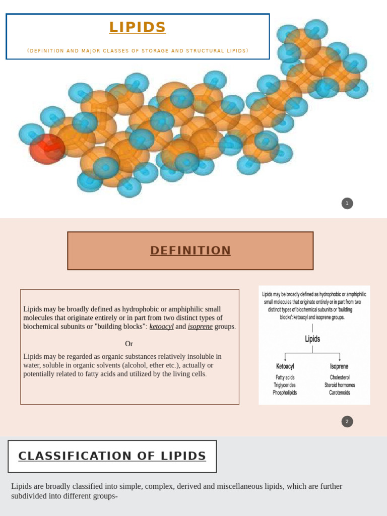 Understanding Lipids: Types and Functions | PDF | Lipid | Triglyceride