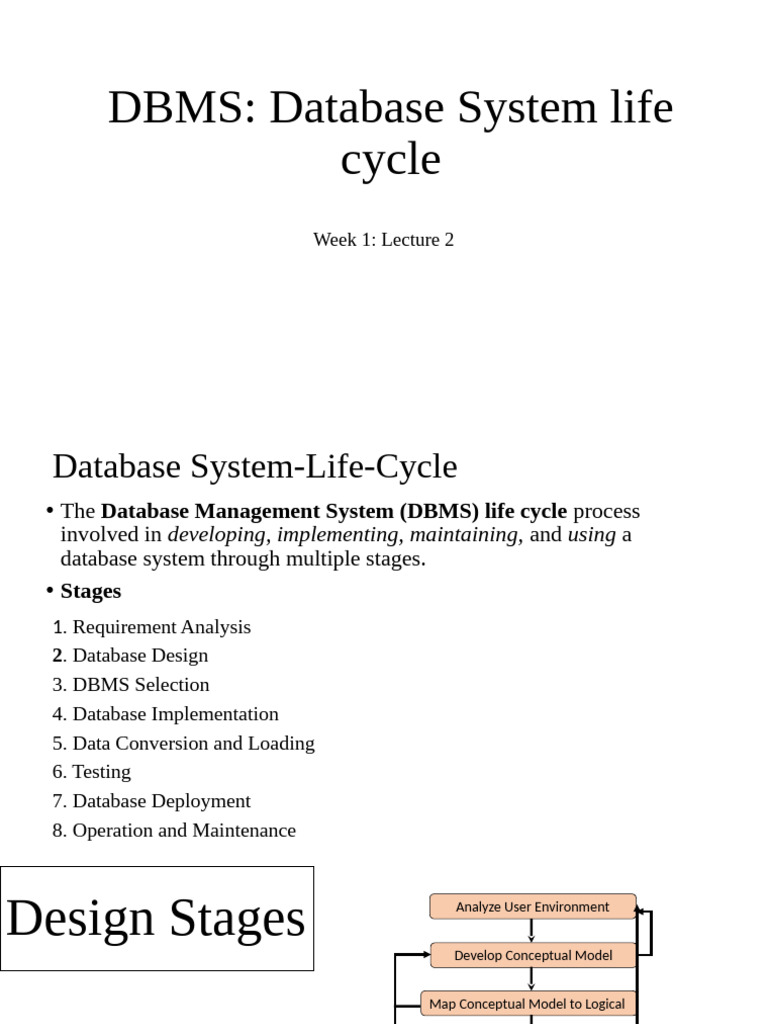 Week 1 Lecture 2 DB Lifecycle 11092024 082112am | PDF | Databases ...
