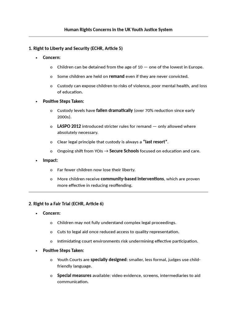Human Rights Concerns in The UK Youth Justice System | PDF | Solitary ...