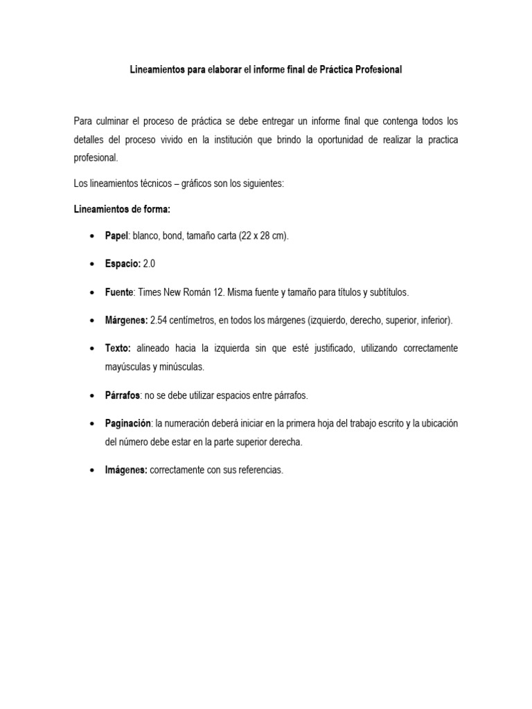 Formato de Informe de Practica Profesional | PDF