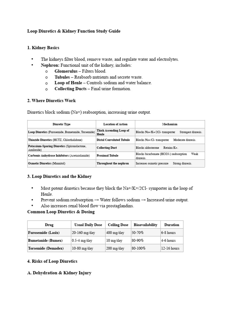 Loop Diuretics: Kidney Function Insights | PDF | Kidney | Medical ...