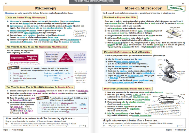 Micros | PDF