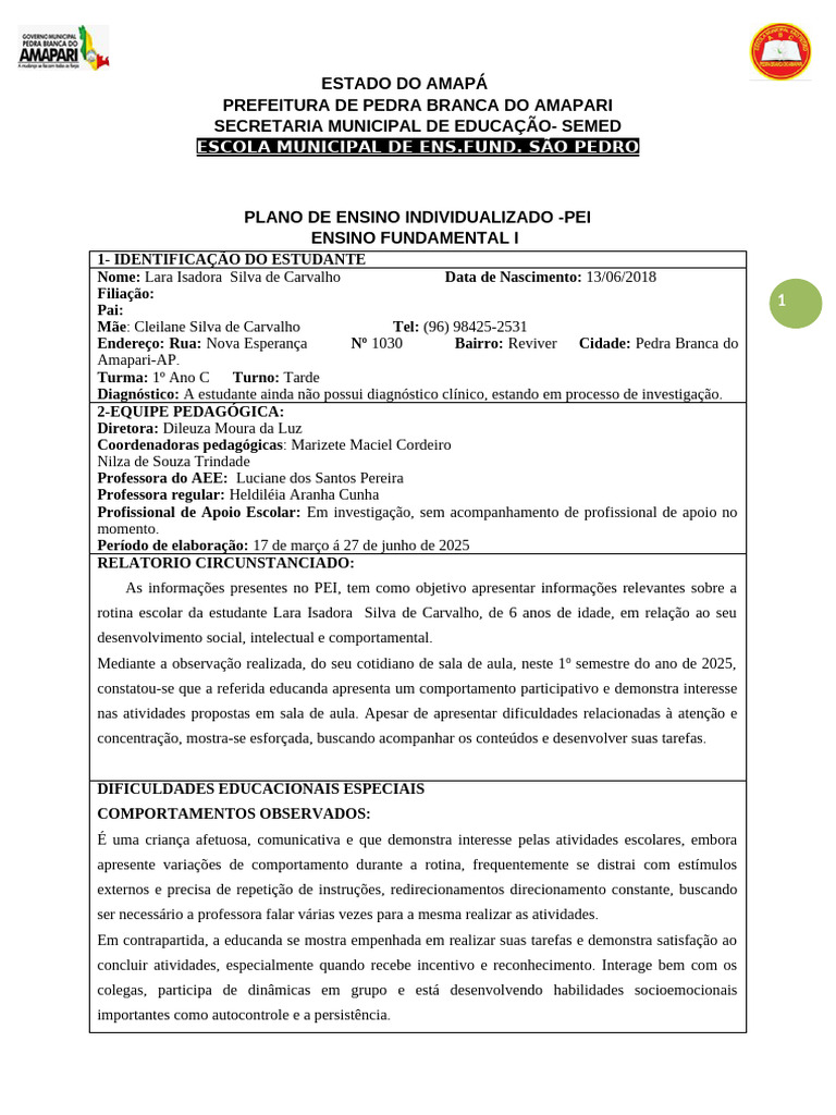 Plano de Ensino Individualizado: Lara Isadora | PDF | Aprendizado