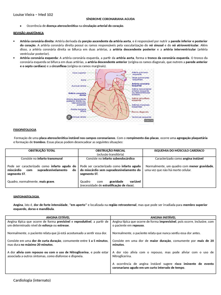 Síndrome Coronariana Aguda: Diagnóstico e Tratamento | PDF | Infarto do ...