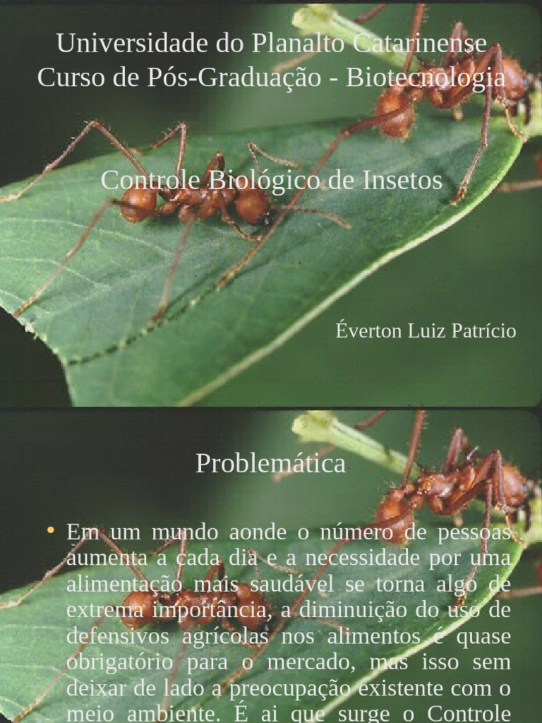 Controle Biológico de Insetos na Agricultura | PDF | Controle biológico ...