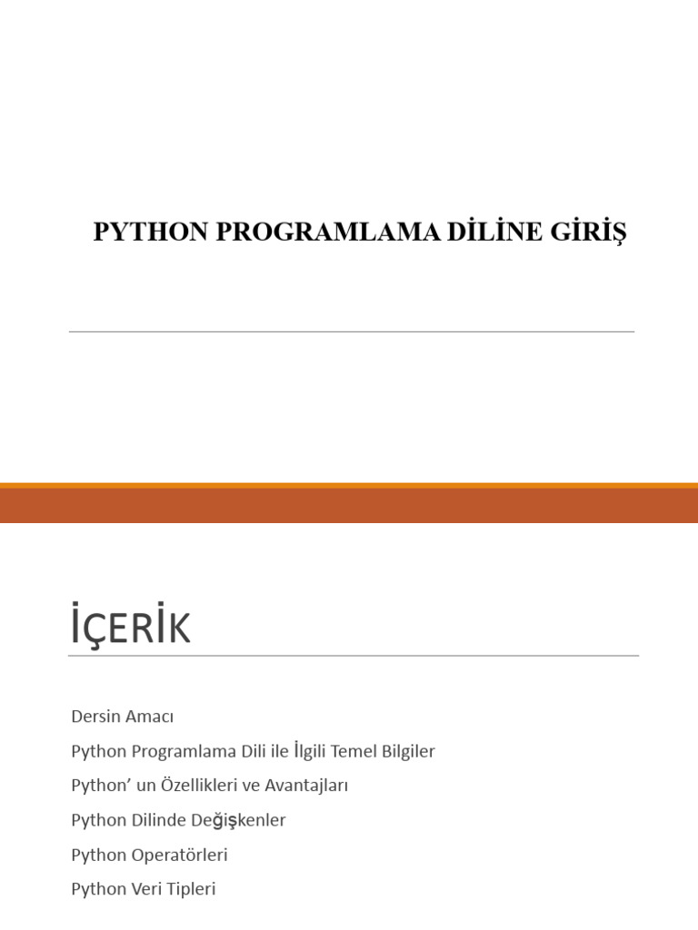 Programlama Temelleri 4.hafta | PDF