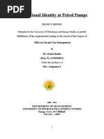 Dissertation tutorial pdf