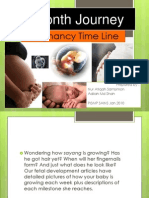 Pregnancy Time Line