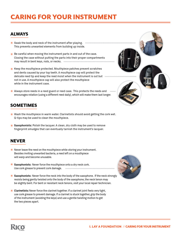Essential Instrument Care Tips | PDF