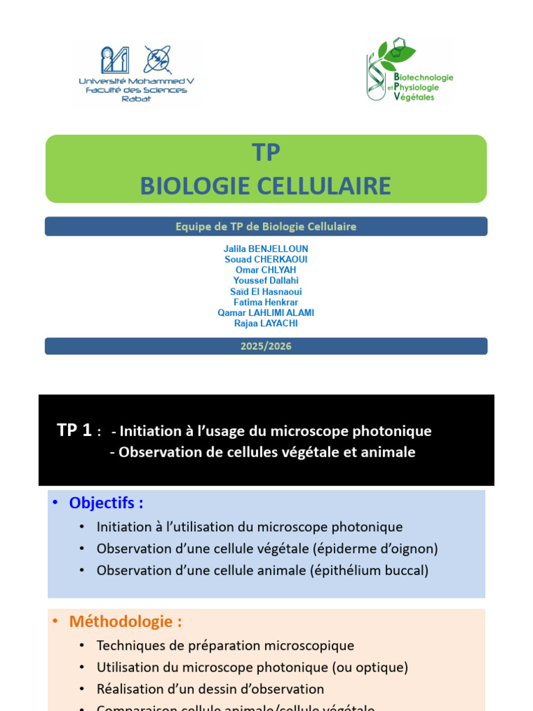 TP BIO 2026 | PDF | Microscope | Noyau (biologie)