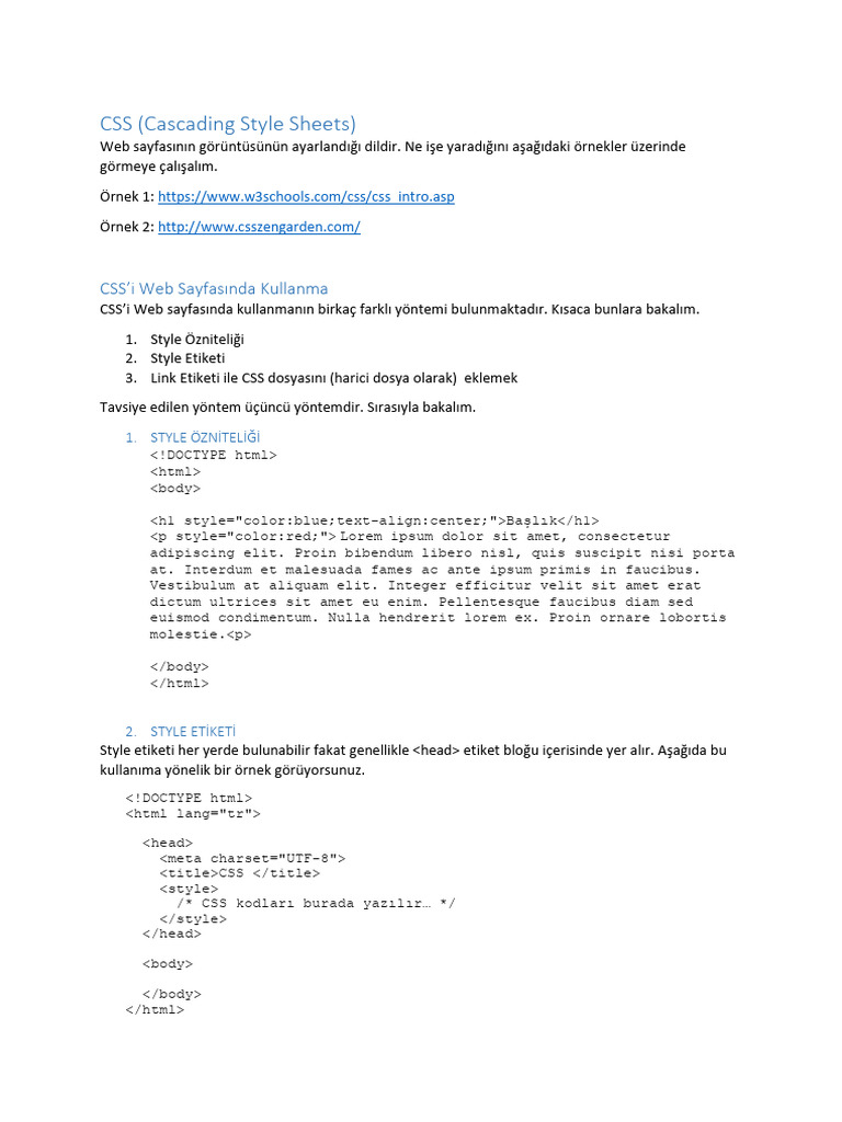Css Giris | PDF