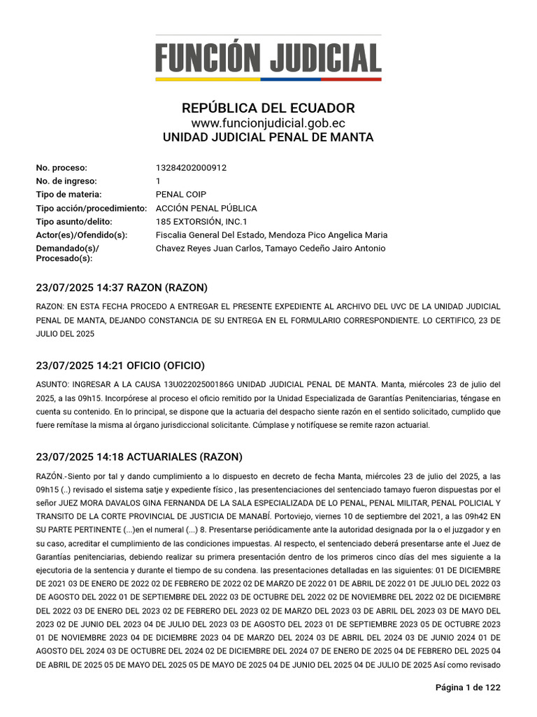 Expel 13284202000912 21582140 12092025 | PDF | Sentencia (ley ...