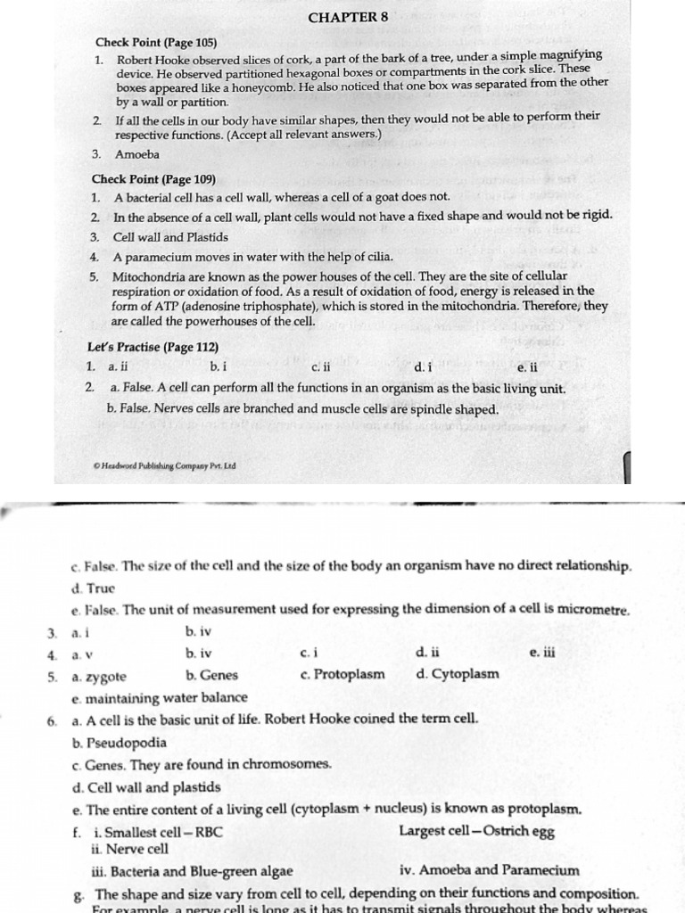Chapter 8 Answers.... | PDF