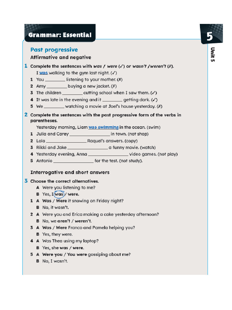 Past Progresive While When | PDF