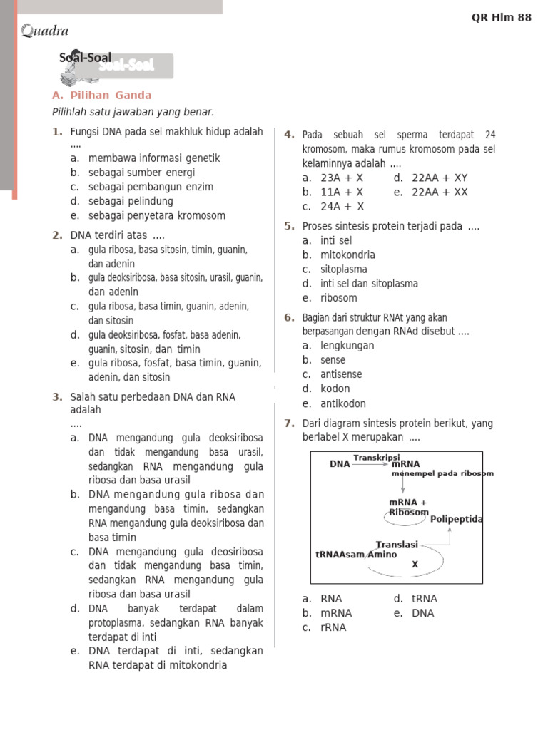 Soal Ujian DNA dan Sintesis Protein | PDF