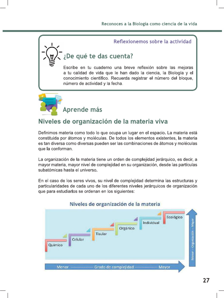 NIveles de Organización de La Materia | PDF