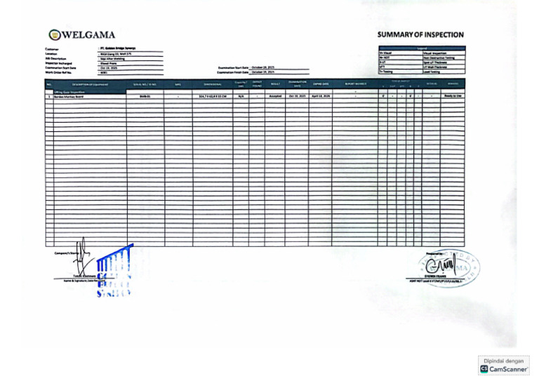 Summary Inspection Monkey Board | PDF