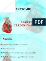 Anatomia Aparatului Cardio-Vascular 1