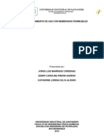 Endulzamiento de Gas Con Membranas Permeables (28 Febrero)