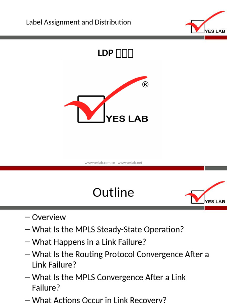 3 LDP的收敛 | PDF